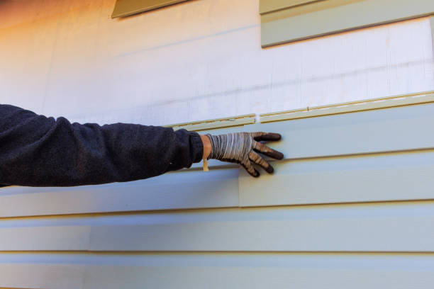 Best Engineered Wood Siding  in Willard, MO